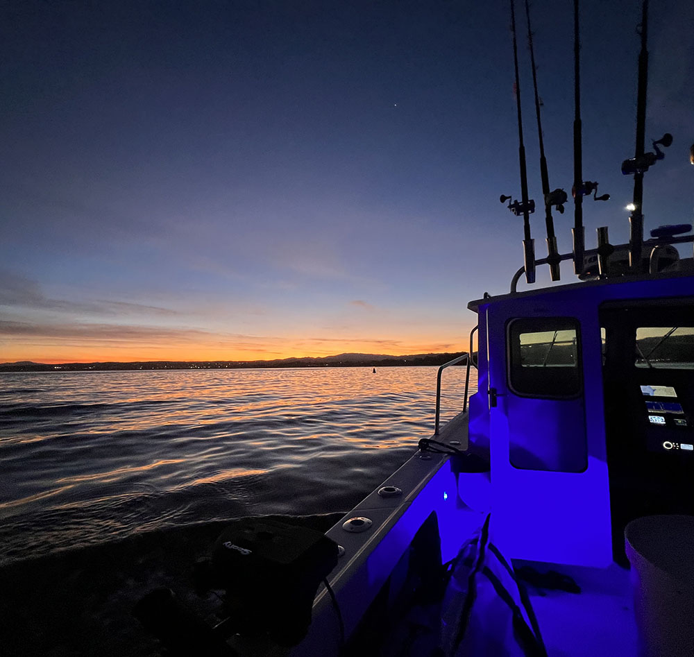 Sportfishing Sunrise